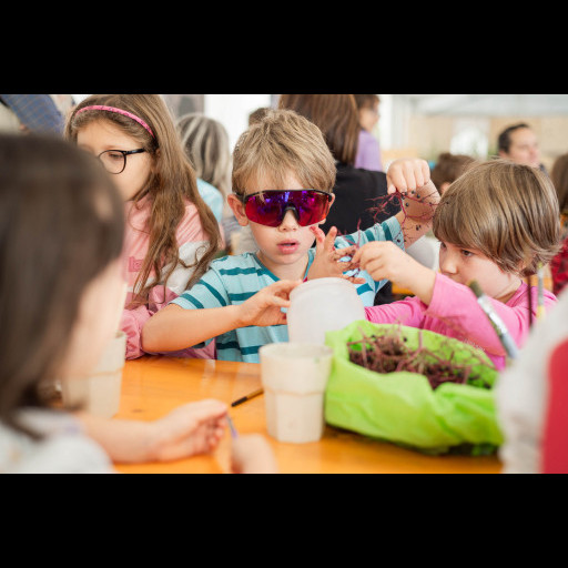 film festival della lessinia fotogallery 29/08
